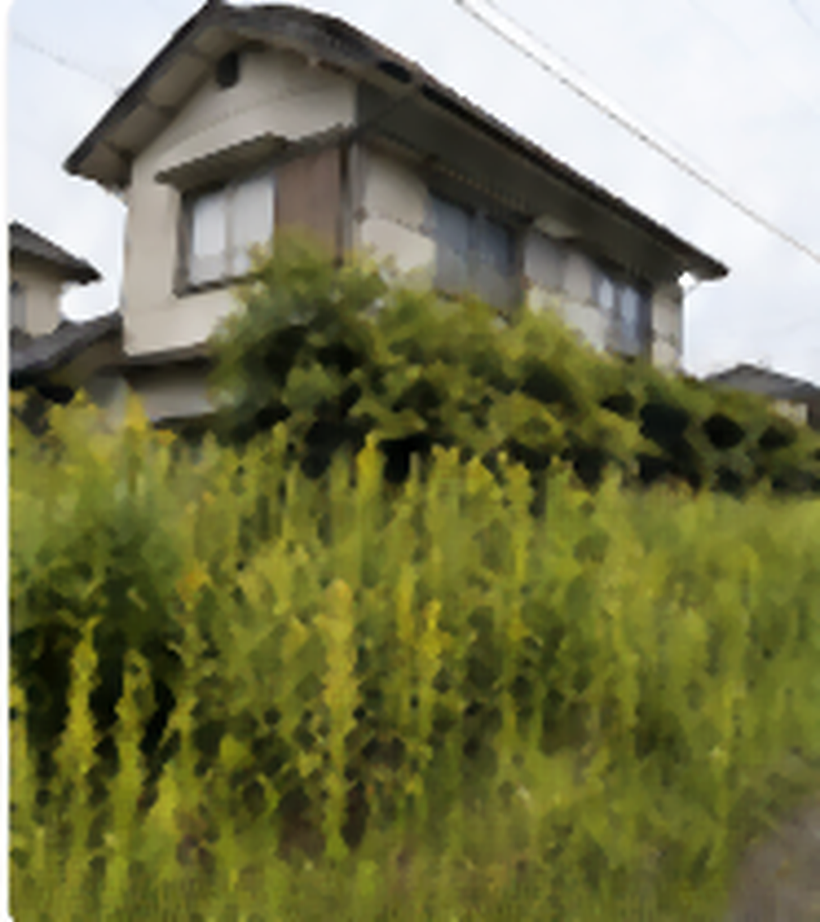 土地・駐車場の確認