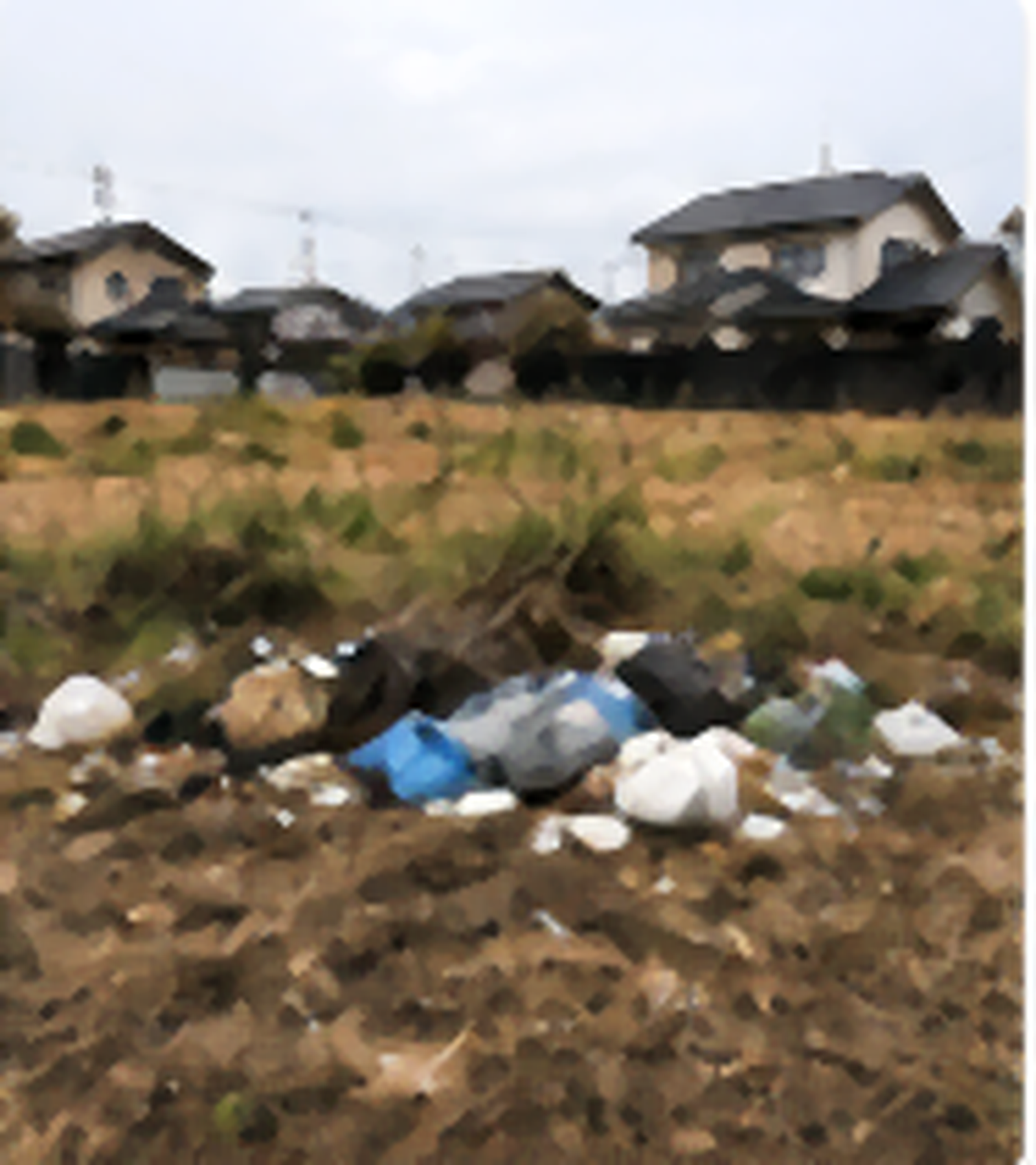 空き家・実家の確認